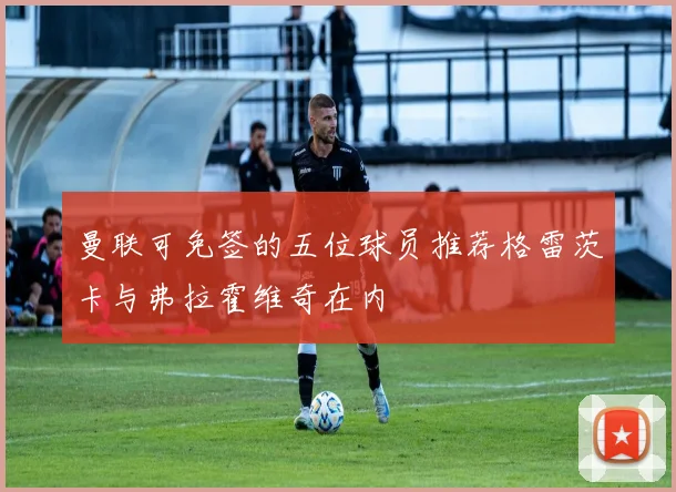 曼联可免签的五位球员推荐格雷茨卡与弗拉霍维奇在内